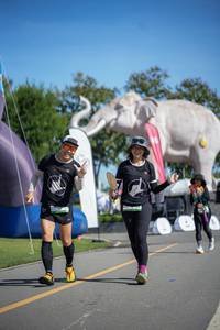 BIB: 
                            <button type="button" onclick="openModal(26543325)" class="btn btn-primary btn-sm float-right btn-popup" data-toggle="modal" data-target=".modal-high-quality">
                        <i class="fas fa-shopping-cart"></i> Add to Cart
                    </button>
                                            <button type="button" onclick="isThisMe(26543325, true)" class="btn btn-success btn-sm float-right btn-popup btn-isme hidden" data-toggle="tooltip" data-placement="bottom" title="นี่คือรูปของคุณใช่ไหม คลิกที่นี่เพื่อเอาเข้าอัลบั้ม">
                        <i class="fas fa-plus"></i> Add to album
                    </button>
                    <button type="button" onclick="isThisMe(26543325, false)" class="btn btn-warning btn-sm float-right btn-popup btn-isnotme hidden">
                        <i class="fas fa-ban"></i> Remove from album
                    </button>